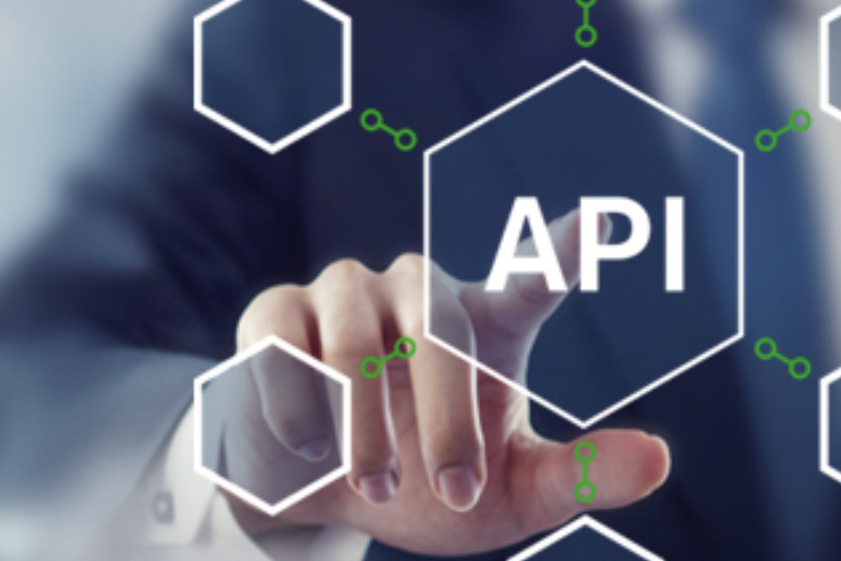 Application Programming Interface<br />IRIS 3D 2021.04